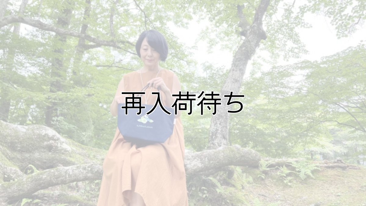 画像3: 【軽井沢ライク】ブルーベリー手刺繍デリカバッグ｜濃紺 (3)